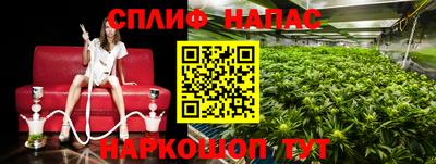 прущая мука Гай