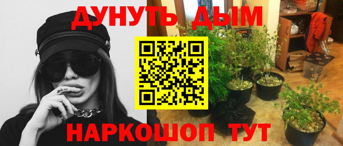 Бошки Шишки ГИДРОПОН  Каннабис план  Вход с VPN  Магнитогорск  Каннабис Ganja 
